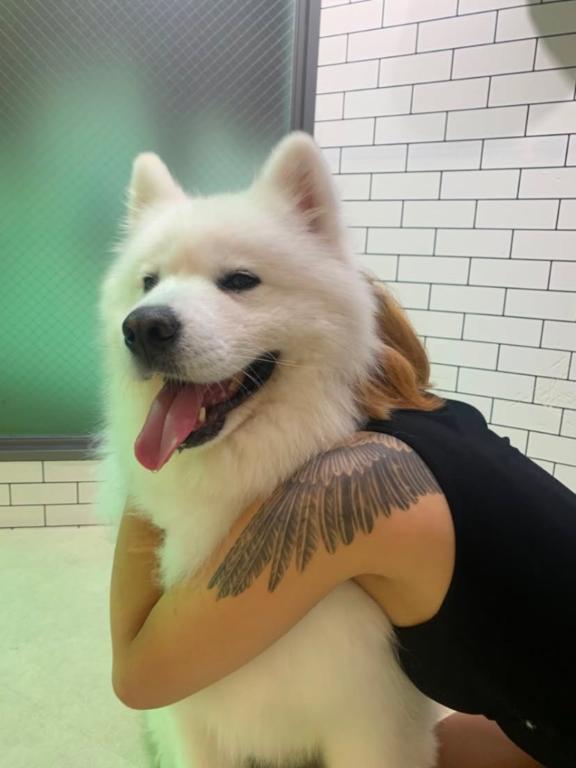マイメロ の 今日も、、、♡♡