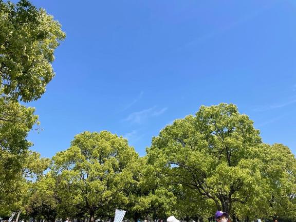 真波 せりな※電撃移籍!!人気嬢 の ありがとうございました