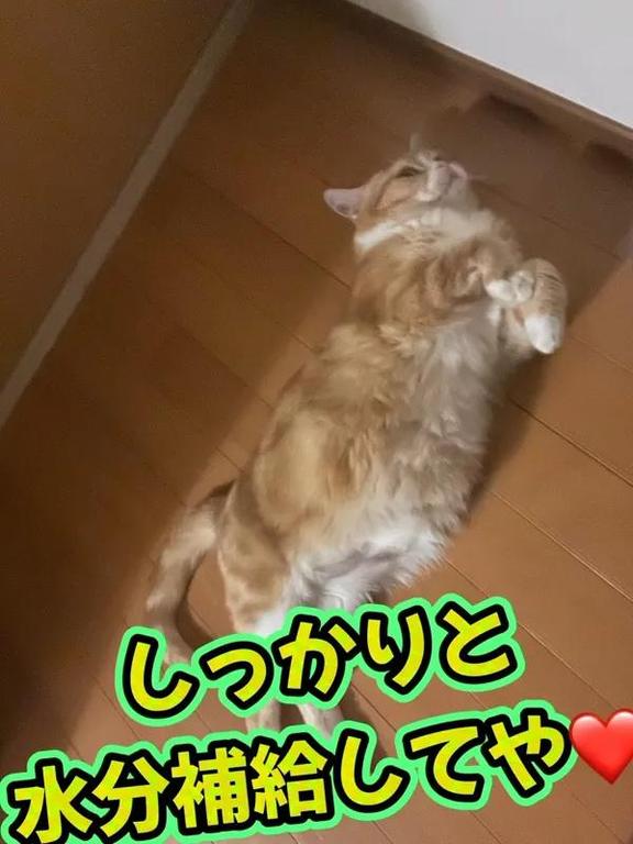 さき の さき（clubさくら日本橋店）