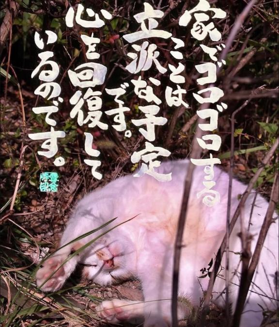 まお の 出勤します