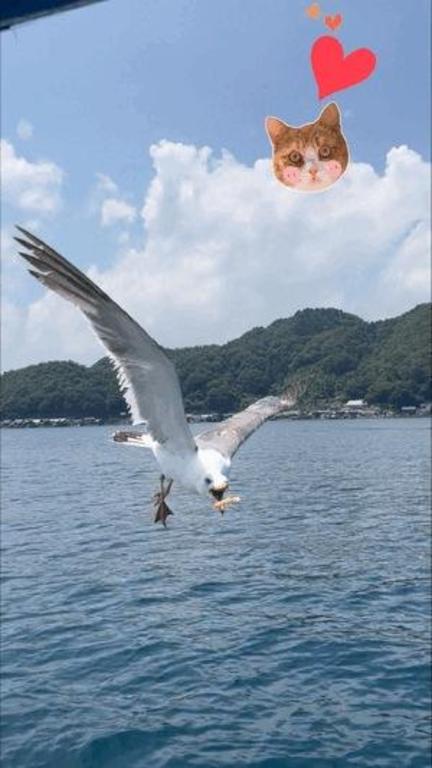 しい の もぐもぐ?