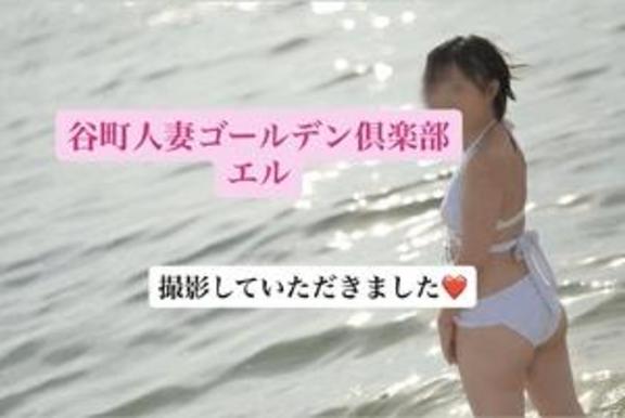 エル の エル日記