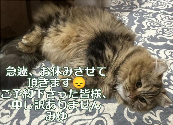 みゆ の ☆みゆ☆vol.5584