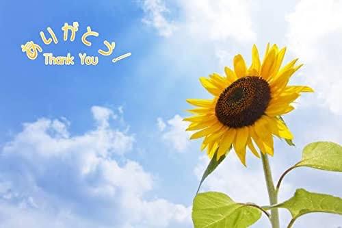 長谷川 るい の ♡Ｉさんへお礼♡