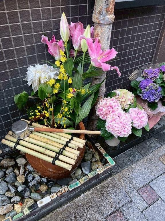 なつめ の 紫陽花の時期終わっちゃいますね