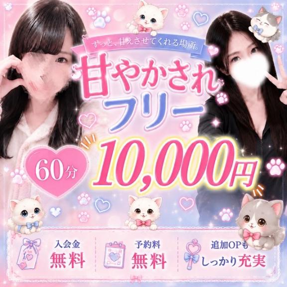 あいな の 注目！！！！👀