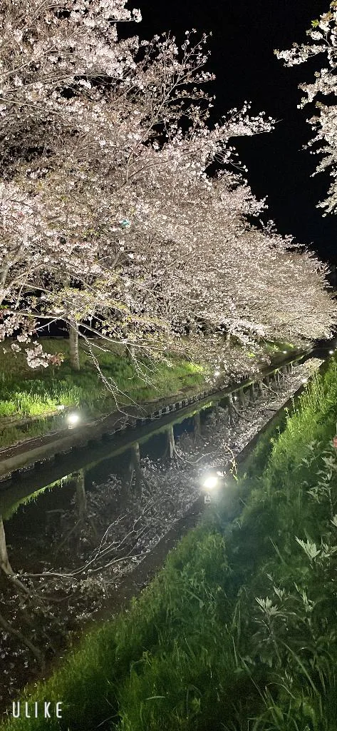 仲良し様💖