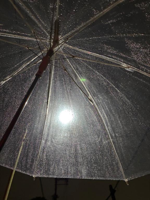 福村 さゆり の 明日はイベント〜！！！