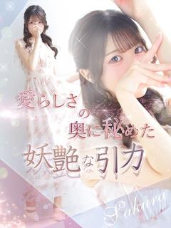 SAKURA【サクラ】