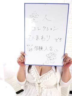 ひまわり新人