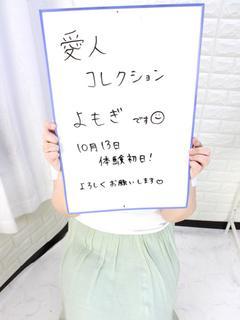 よもぎ新人