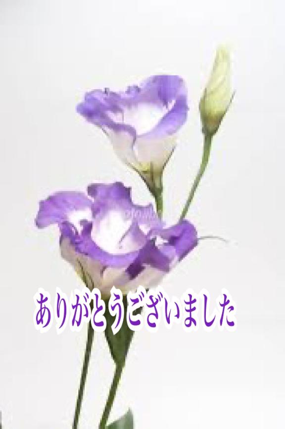 りょうこ の ありがとうございました💖