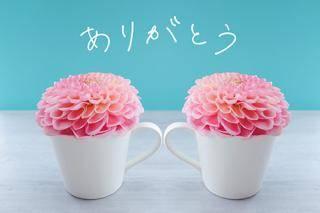 べる の お礼日記