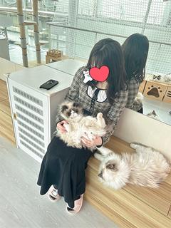 きこ