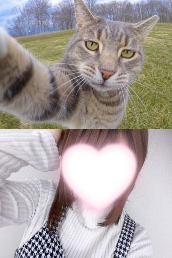 あい の あいをねこにすると。。⁉️♡♡