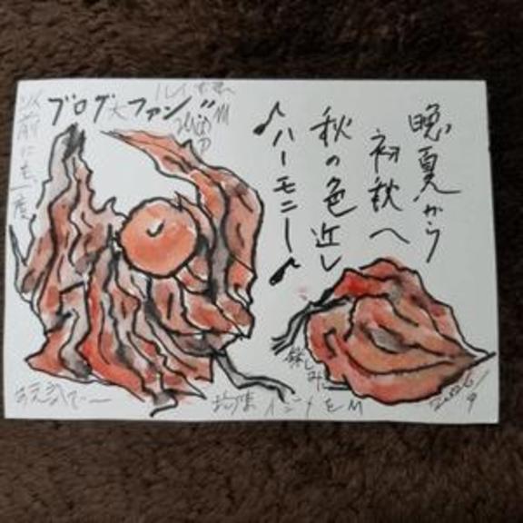 ルイ の 何でも入るアソコ