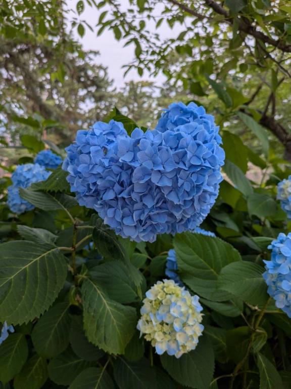すい の 【本日10時〜14時出勤♡】