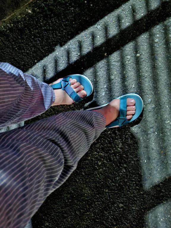 夜のお散歩👣