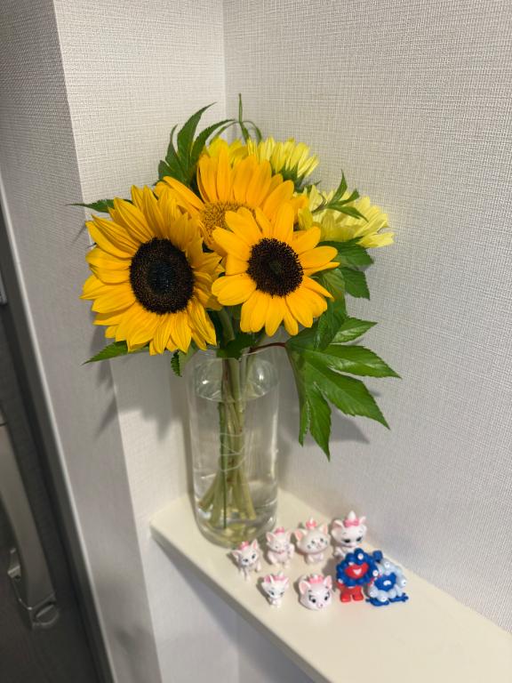 神秘【シンピ】 の 【お礼写メ日記】💌本指名様えもやん♡