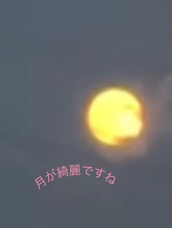 優季美（ゆきみ） の 月が…