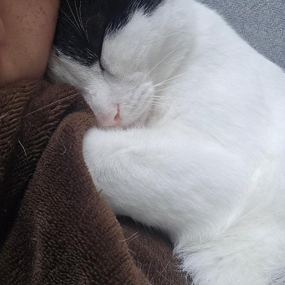 なみ の 昨日はすまん🙏