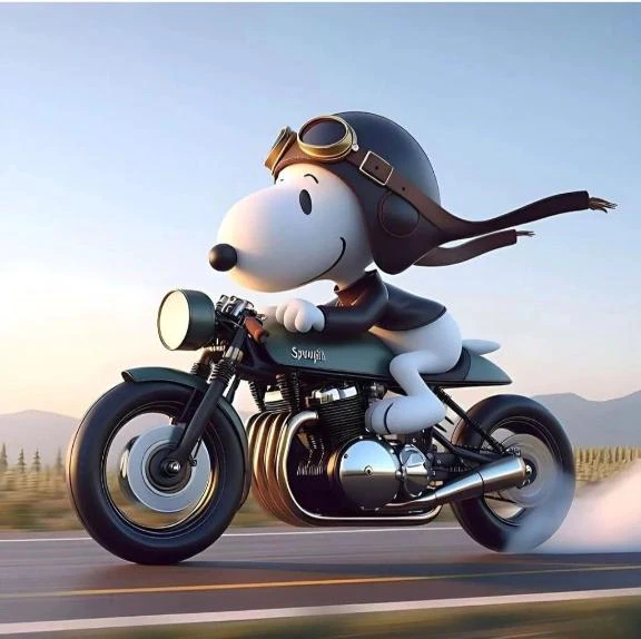 たなっぺへ🏍🍁
