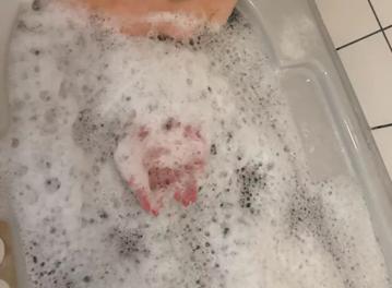 あいな の あいなです🫶