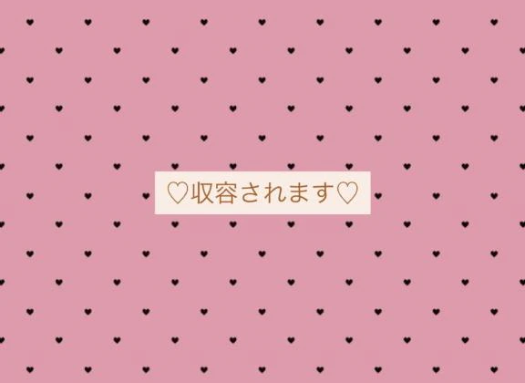 収容されます✊