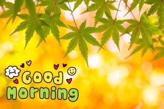 理子 の 日焼け止め塗ってますか☀️