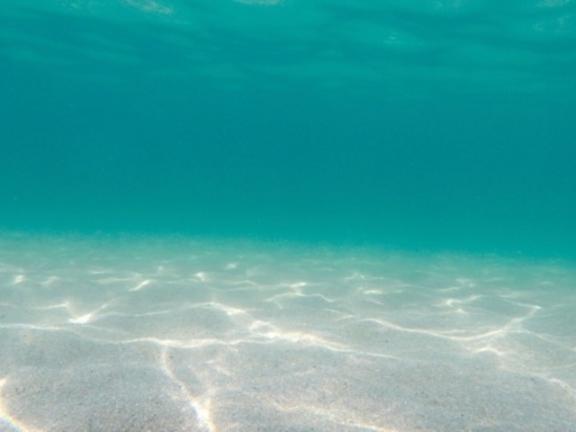 ひかる の 海🌊満喫‼️