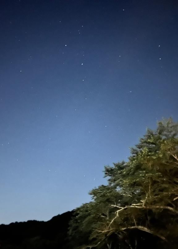 なお の なおです