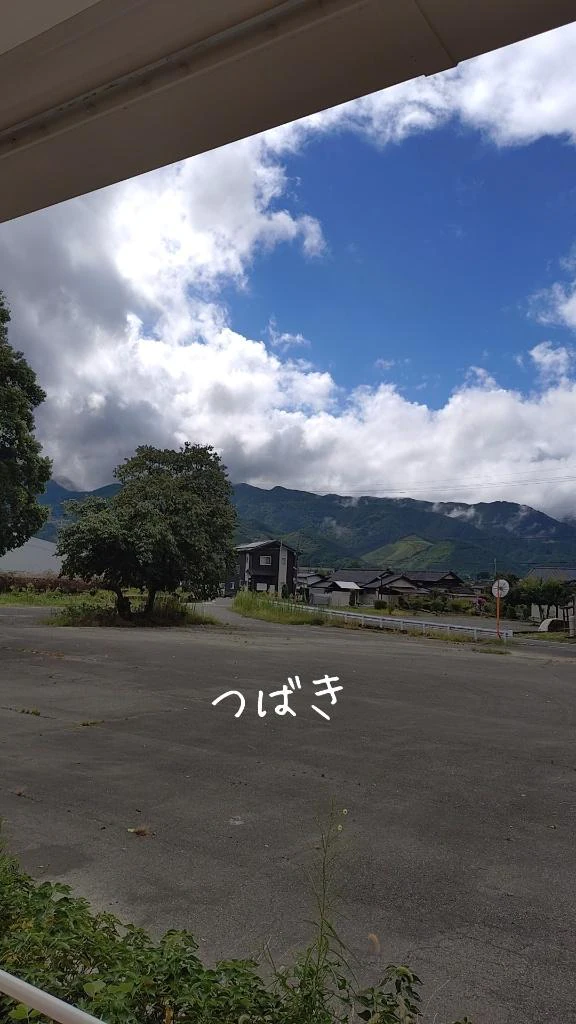 今日から🩷