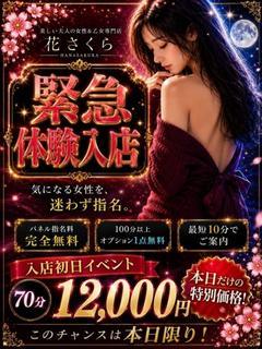 さや/緊急入店スレンダー美女♪