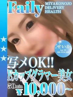 せいか