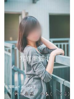 新人奥様　小春(こはる)