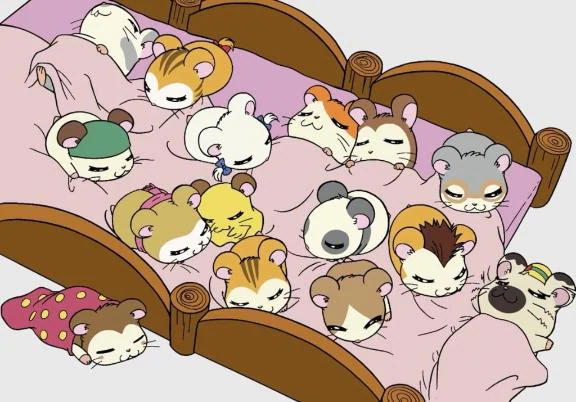 きのうのありがとう🌟