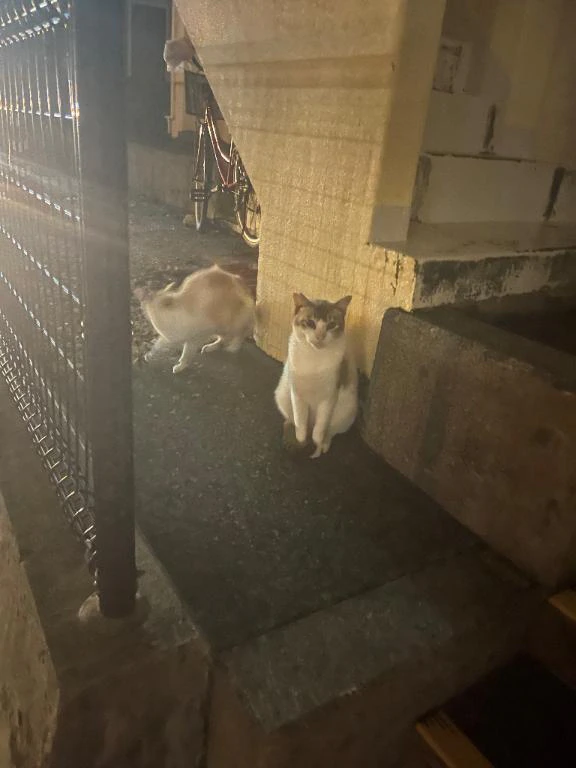 ふしぎまち