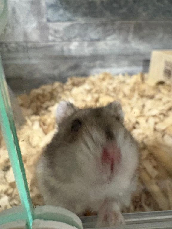 出勤🎀
