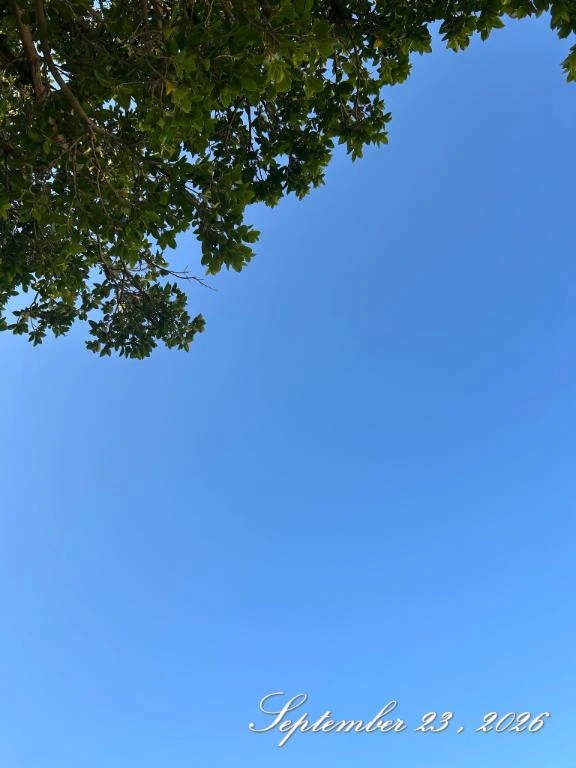 ☀️そら☀️