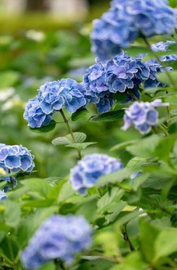 とき の 明日27日(土)お休みします🙇‍♂️