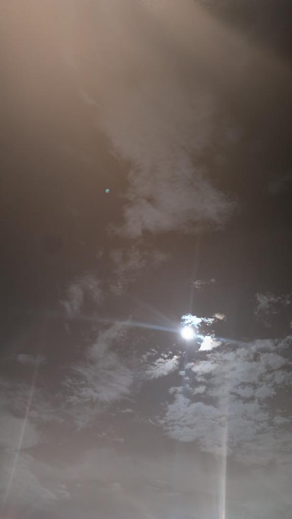 りる の ✨呑みの代償。。。？