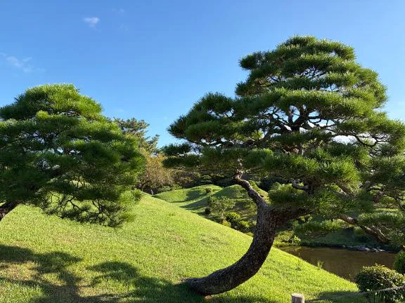 緑にほどける🌿