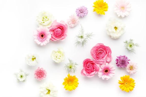 新人・沙織(さおり) の 向かっております💐