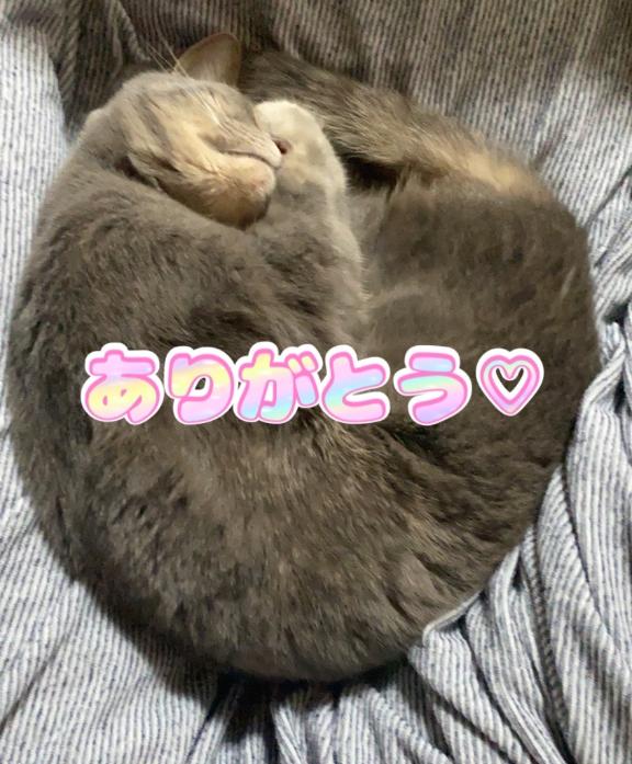 有馬 もえ◆業界未経験の巨乳若妻 の 7/12(日)お礼日記♡