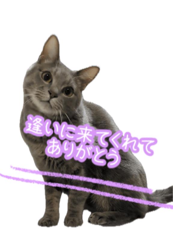 有馬 もえ◆業界未経験の巨乳若妻 の 9/9(水)お礼日記♡