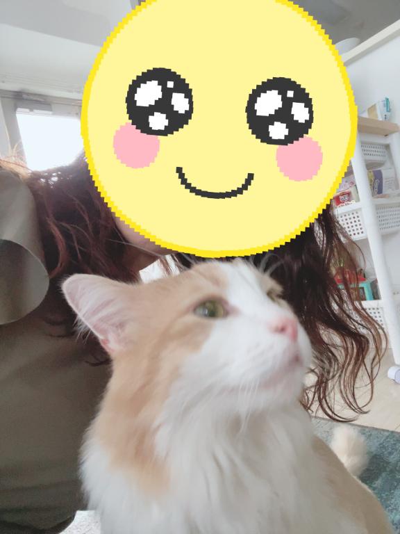 ゆうか の [お題]from:癖ターズ田中さん
