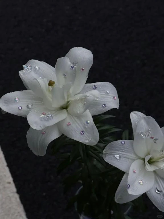 ご予約ありがとうございます♡