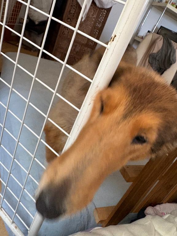 れいか の いつもみたよ、ありがとうございます
