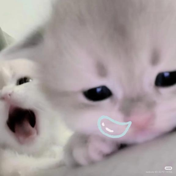 綺麗【きらら】 の かんばい⊂˙꒳ ˙)♩🈵