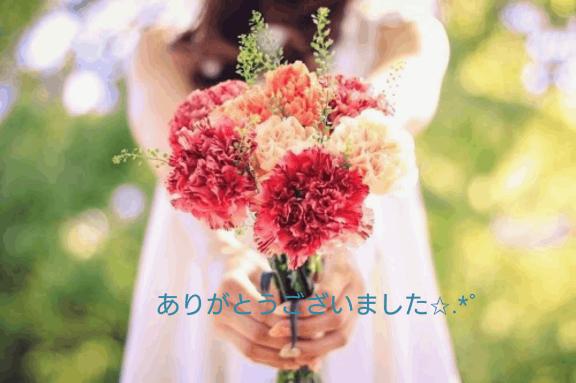 藤原　静香 の お礼です✩.*˚